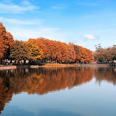 Cultural Performances in Guangzhou: What to Watch